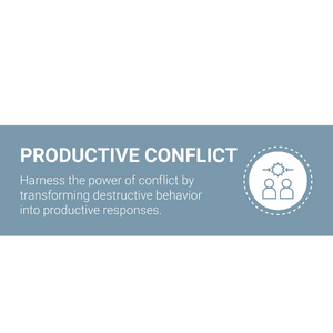Everything DiSC® Productive Conflict